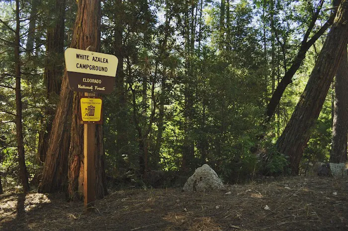White Azalea Campground Picture 9