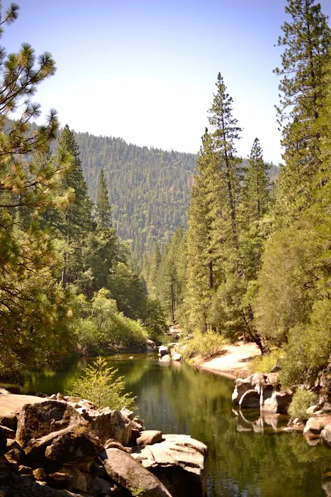 Moore Creek Campground Picture 2