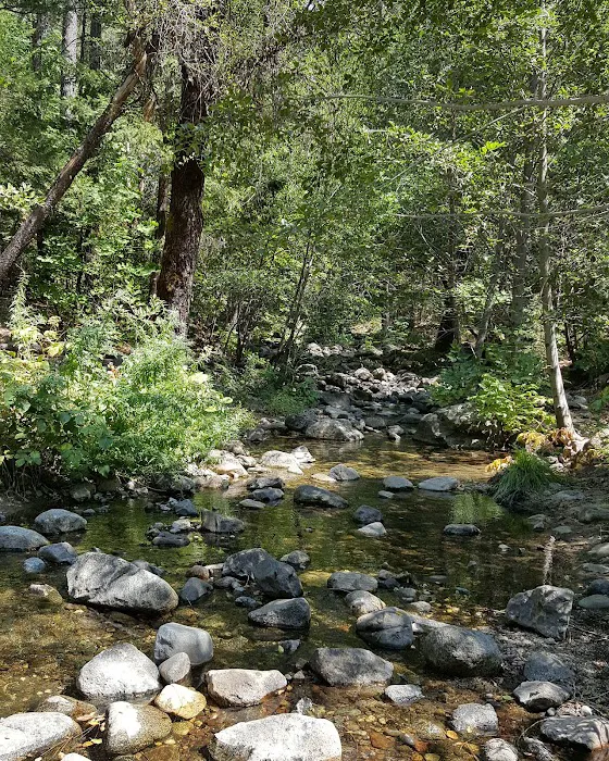 Moore Creek Campground Picture 6