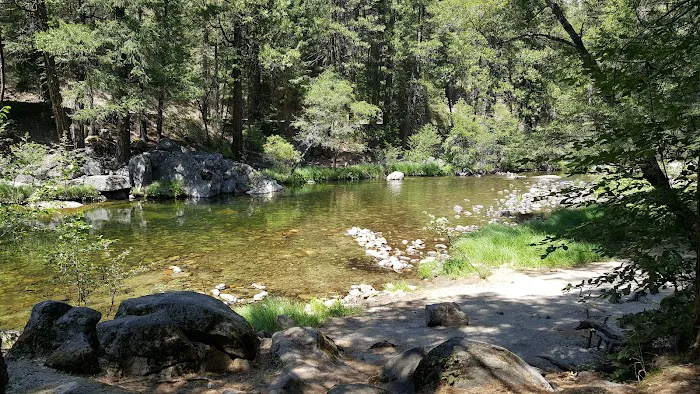 Moore Creek Campground Picture 4