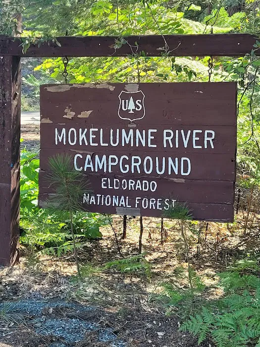 Mokelumne River Campground Picture 6