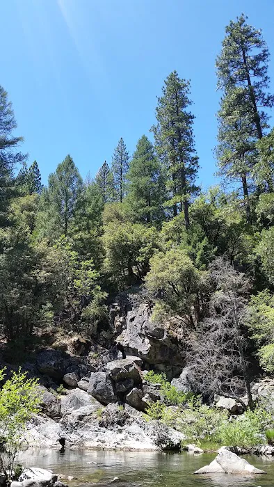 Mokelumne River Campground Picture 8