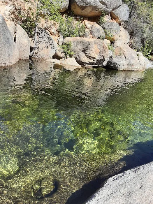 Mokelumne River Campground Picture 9