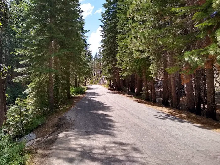 Sand Flat Campground Picture 6