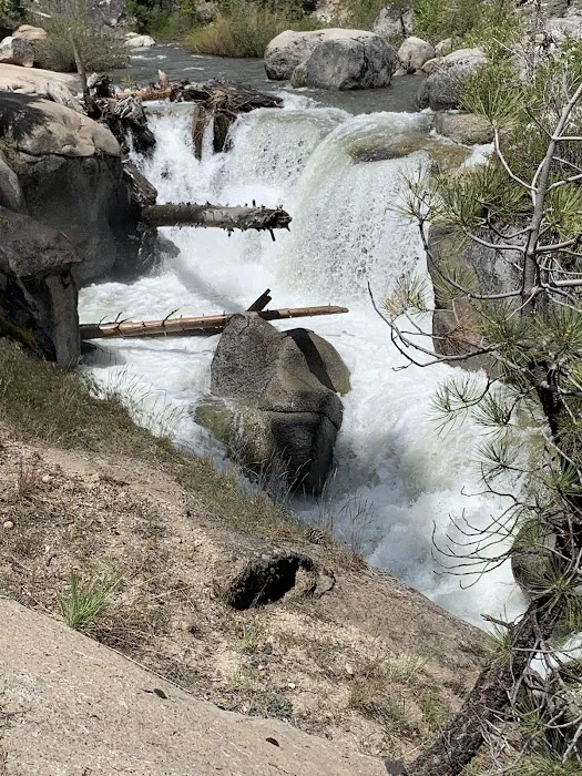 Sand Flat Campground Picture 9