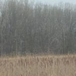 Lakeview Mobile Home Park