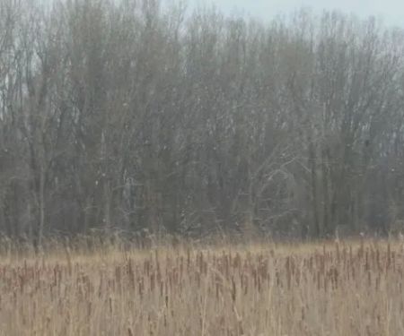 Lakeview Mobile Home Park