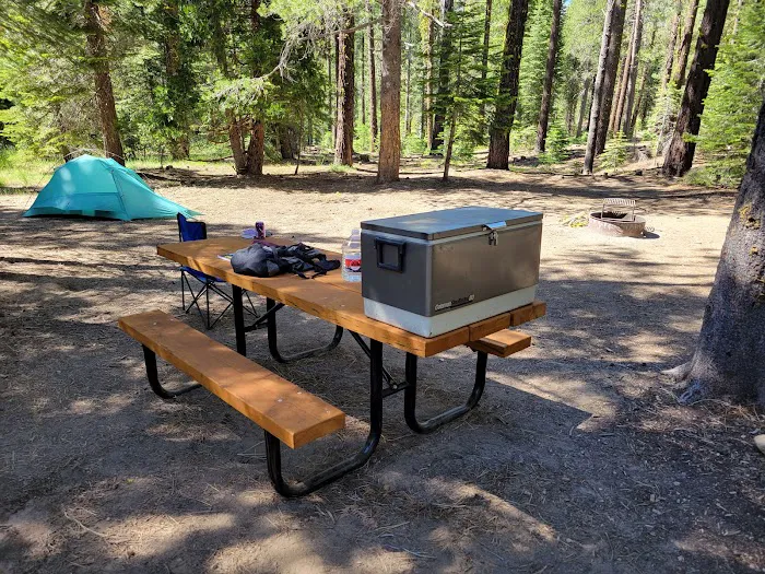 Clark Fork Campground Picture 2