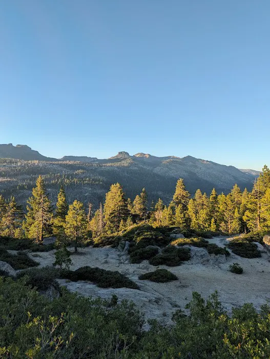 Clark Fork Campground Picture 4