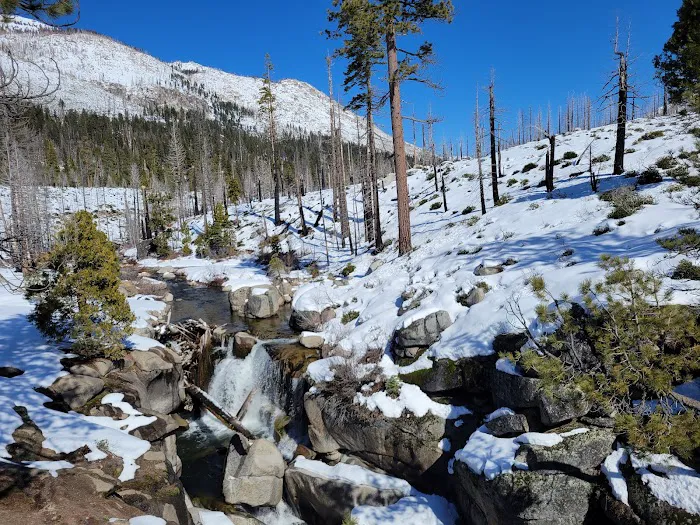 Clark Fork Campground Picture 6