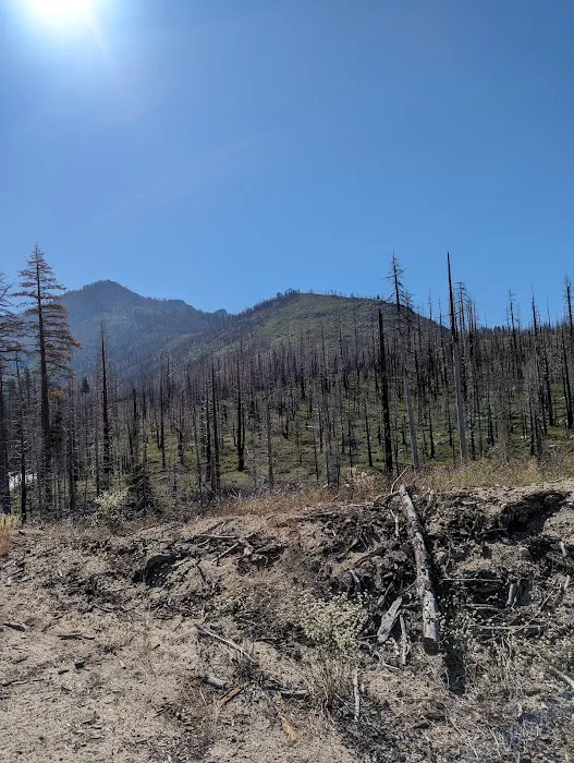 Clark Fork Campground Picture 1