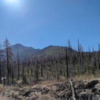 Clark Fork Campground ico
