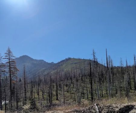 Clark Fork Campground