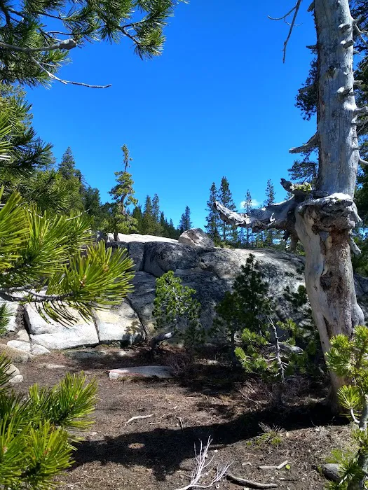 Lake Alpine Campground Picture 6