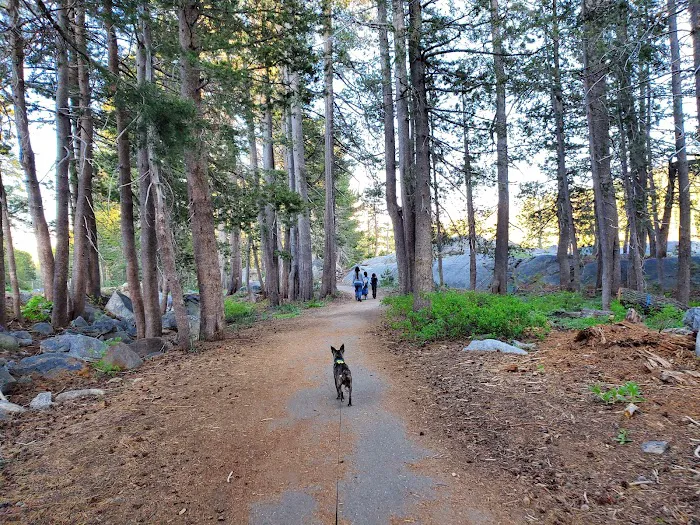 Lake Alpine Campground Picture 4