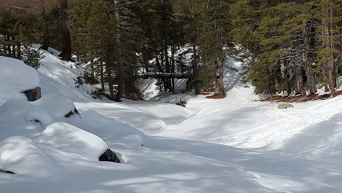 Lake Alpine Campground Picture 3