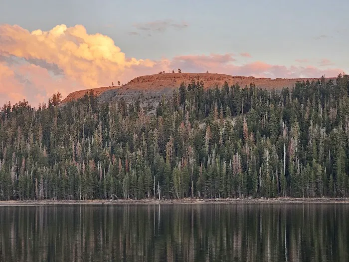 Lake Alpine Campground Picture 8