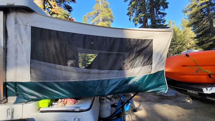 Silvertip Campground Picture 2