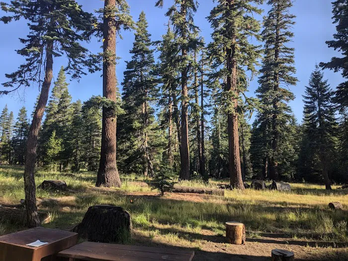 Silvertip Campground Picture 6