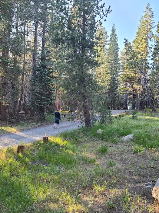 Lodgepole Group Campground Picture 10