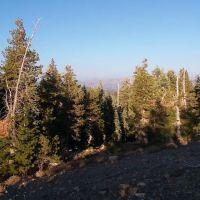 Lodgepole Group Campground ico