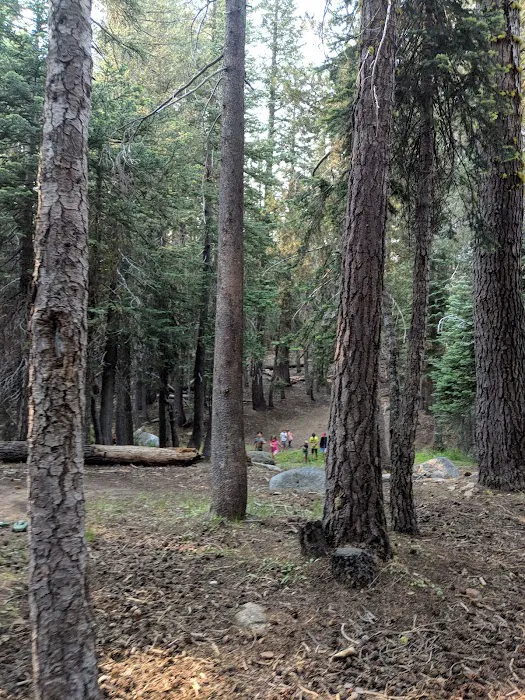 Lodgepole Group Campground Picture 9