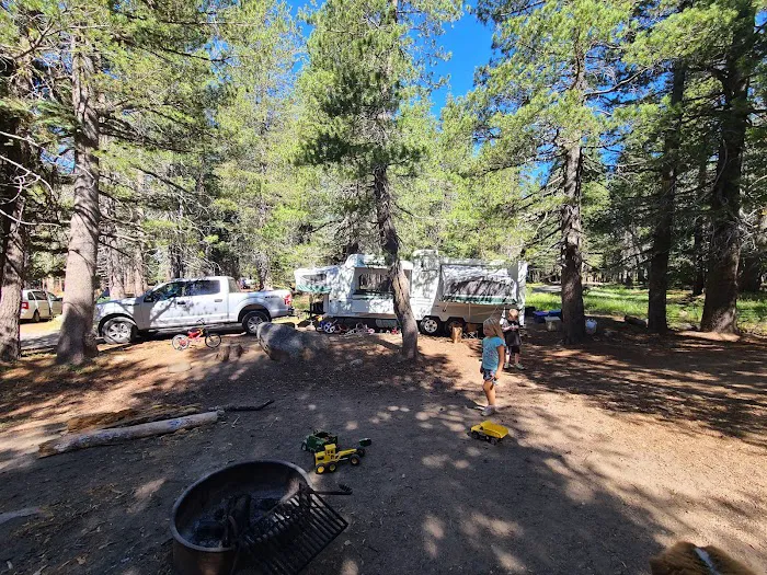 Lodgepole Group Campground Picture 8