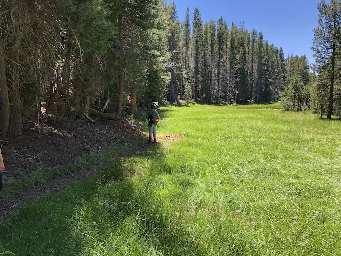 Union Reservoir East Campground Picture 5