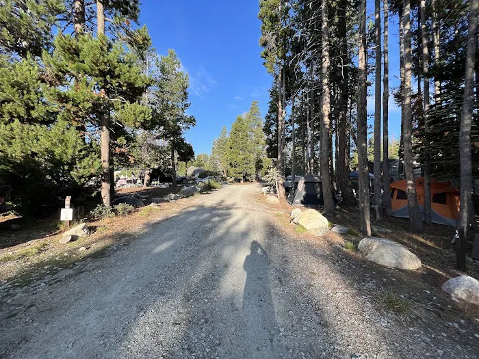 Rocky Point Campground Picture 10