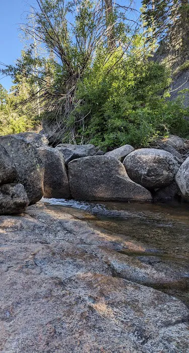 Big Meadow Campground Picture 3