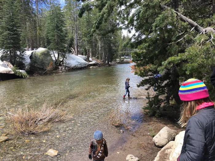 Big Meadow Campground Picture 5