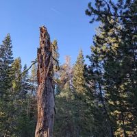 Big Meadow Campground ico