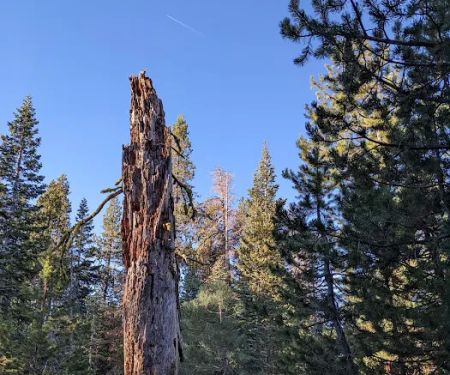 Big Meadow Campground