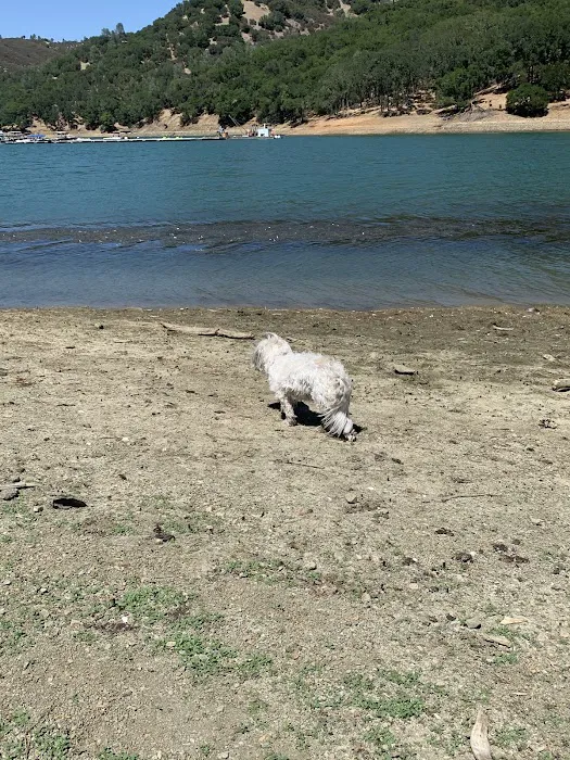 Pleasure Cove campground Picture 9