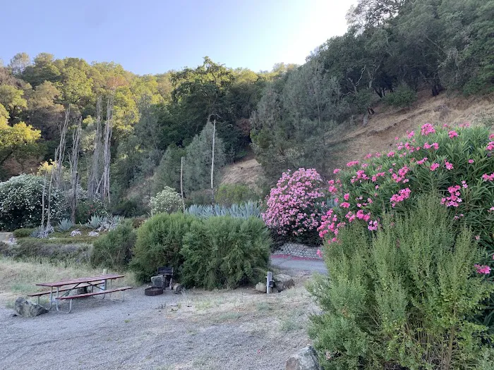 Pleasure Cove campground Picture 8
