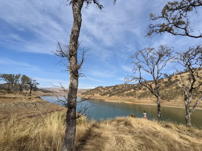 Pleasure Cove campground Picture 1