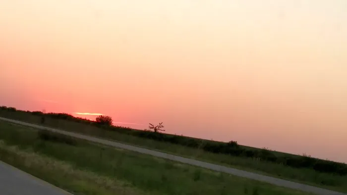 South View Estates Picture 3