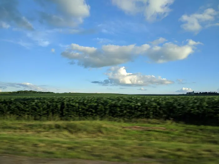 South View Estates Picture 10