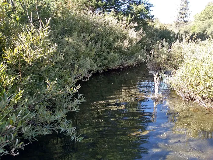 Hunting Creek Camp Picture 8