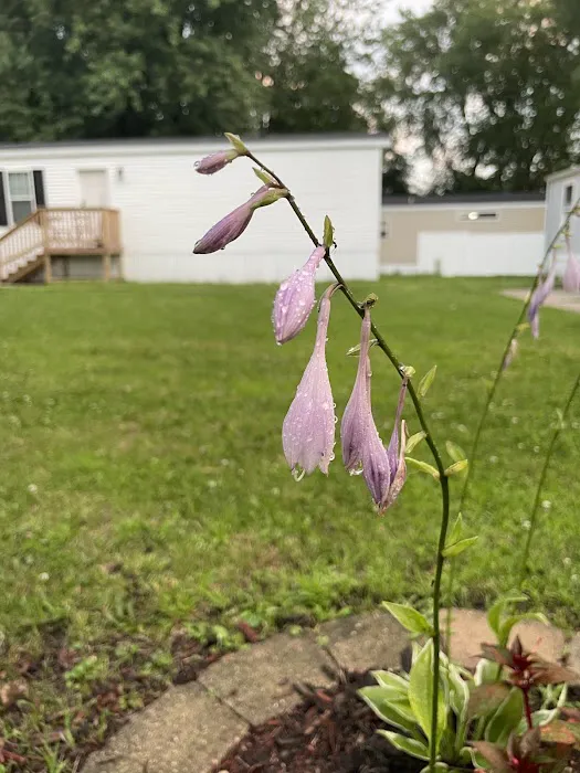 Five Seasons Picture 4