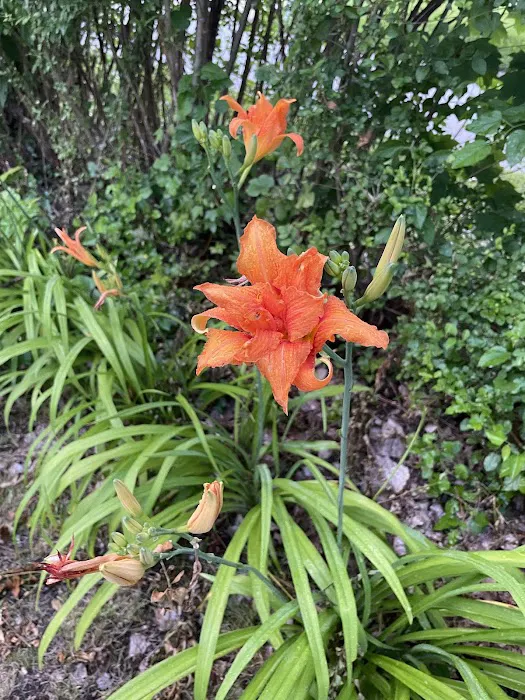 Five Seasons Picture 5