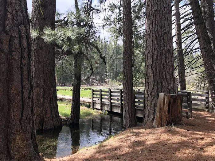 North Grove Campground Picture 3