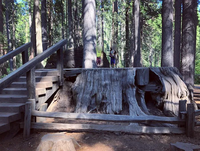 North Grove Campground Picture 8