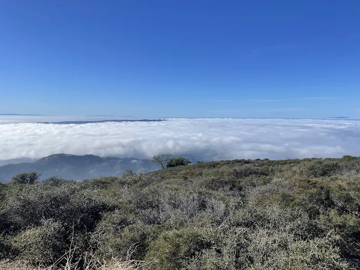 North Grove Campground Picture 9