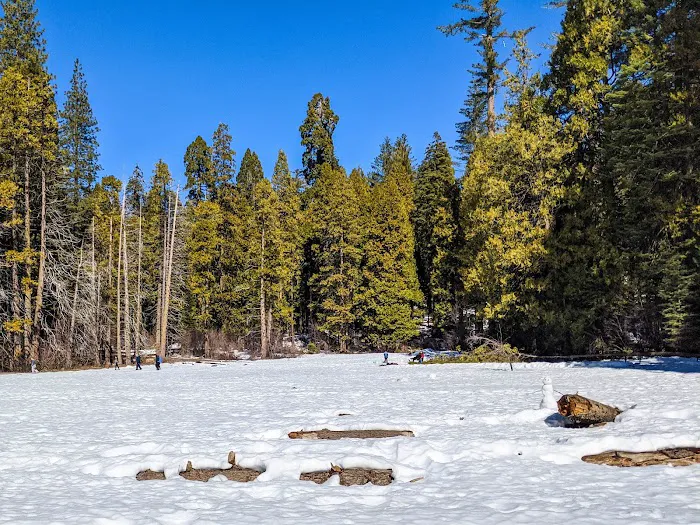 North Grove Campground Picture 7