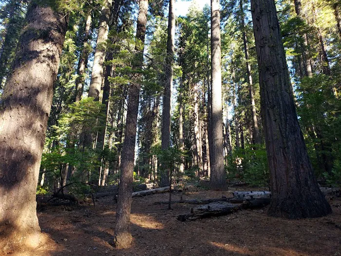 Oak Hollow Campground Picture 4