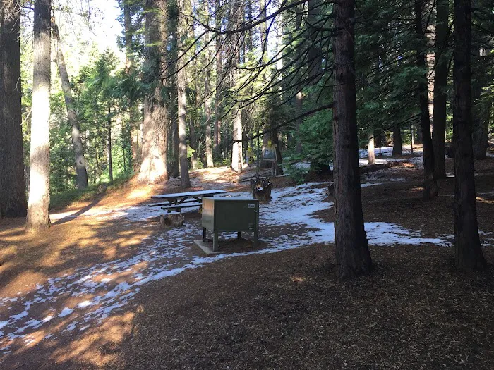 Oak Hollow Campground Picture 3