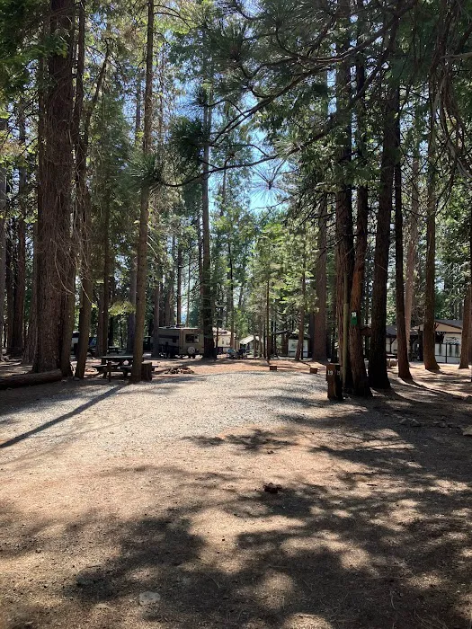Golden Pines RV Resort and Campground - Arnold, CA Picture 4