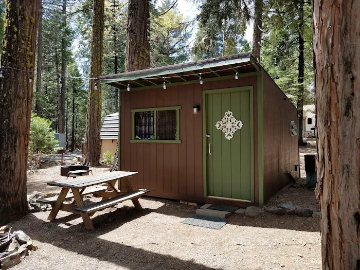 Golden Pines RV Resort and Campground - Arnold, CA Picture 2