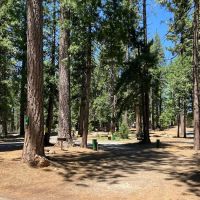 Golden Pines RV Resort and Campground - Arnold, CA ico